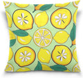 Yellow Lemon Microfiber Pillow Cases 1 Pack Satin Pillowcase with Zipper Closure for Living Room 18x18
