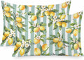 Yellow Lemon Pillow Cases Standard Size Set of 2, Spring Botanical Floral Leaves Aqua Stripes Satin Pillowcase with Zipper for Hair/Skin, Decorative Pillow Covers for Bed/Couch/Sofa, 20x26 Inches