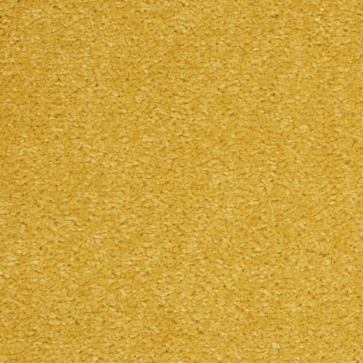 Nourison Essentials Yellow 5' x Square Area Rug - Easy Clean, Non Shedding, Bed Room, Living Room, Dining Room, Kitchen (5' x Square)