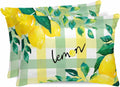 Satin Pillowcases Standard Size, Summer Lemon Silk Pillow Cases for Hair and Skin with Zipper 2 Pack, Botanical Fruit Leaves Yellow Green Striped Smooth Throw Pillow Covers for Sleeping, 20"x26"