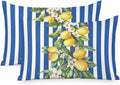 Yellow Lemon Floral Standard Pillowcase Set of 2, Blue Stripe Satin Pillow Case Cover with Smooth Hidden Zipper Closure, Soft Throw Pillow Covers Cases for Home Decoration 20 X 26 Inches