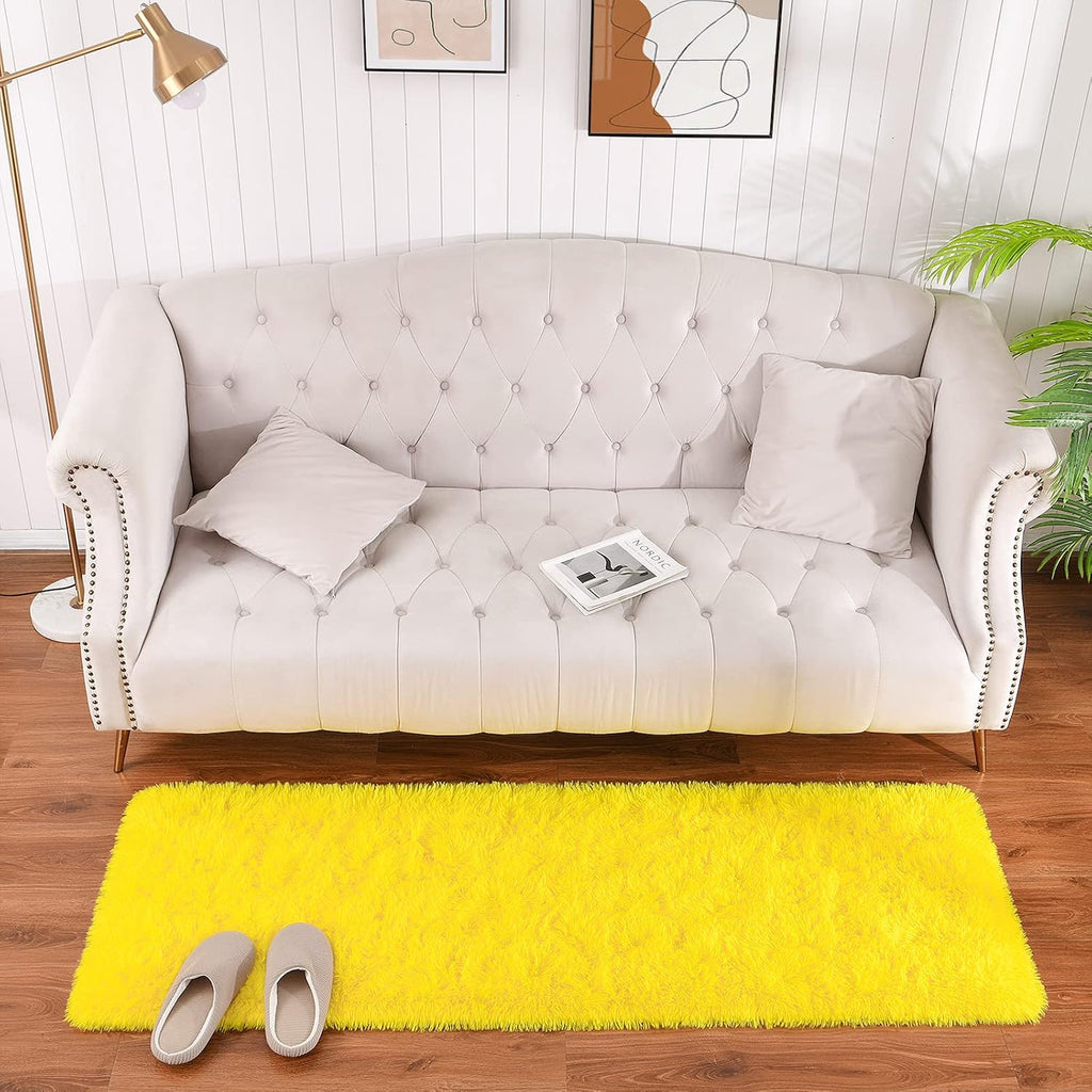 Fluffy Area Rugs 2x6, Soft Washable Shag Rug for Bedroom Girls Room