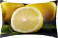 Yellow Lemon Satin Pillowcase for Hair and Skin, Similar to Silk Pillow Cases Queen Size 20 x 30 Inches, Smooth Cooling Pillow Covers Soft Breathable Pillowcases with Zipper