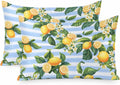 Pastoral Lemon Standard Pillowcase Set of 2, Yellow Blue Flowers Stripes Satin Pillow Case Cover with Smooth Hidden Zipper Closure, Soft Throw Pillow Covers Cases for Home Decoration 20 X 26 Inches
